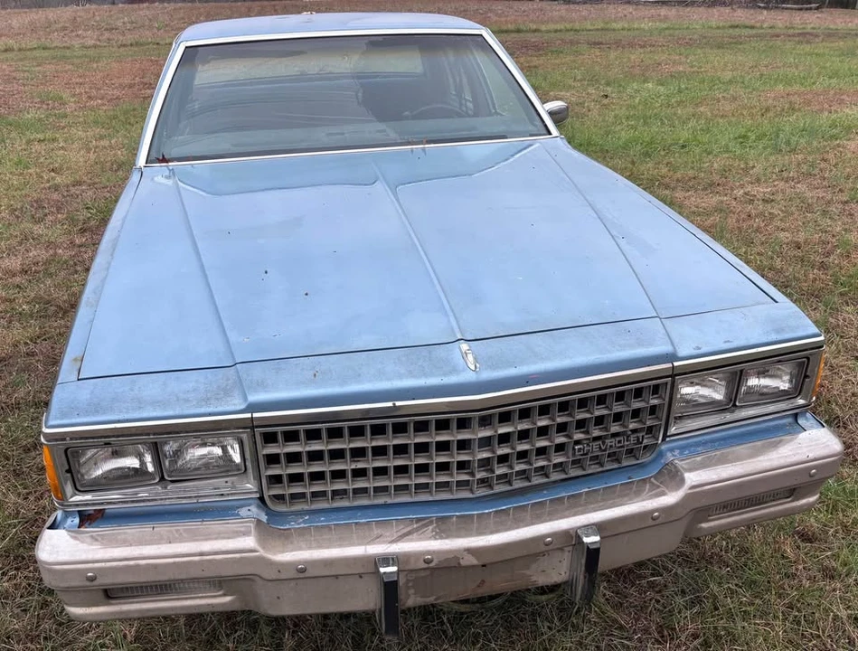 1980 Chevrolet Caprice - Image 3 of 13