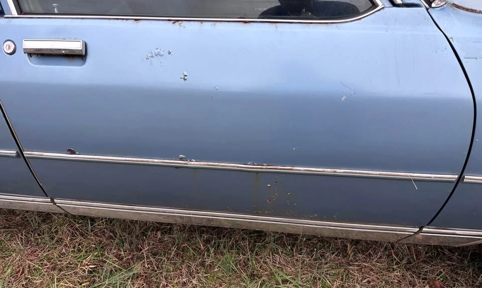 1980 Chevrolet Caprice - Image 6 of 13