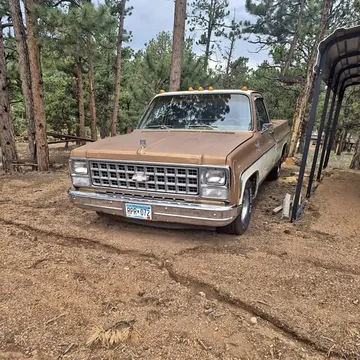1980 Chevrolet Cheyenne C10