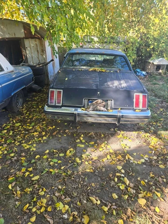 1980 Chevrolet Caprice - Image 4 of 4
