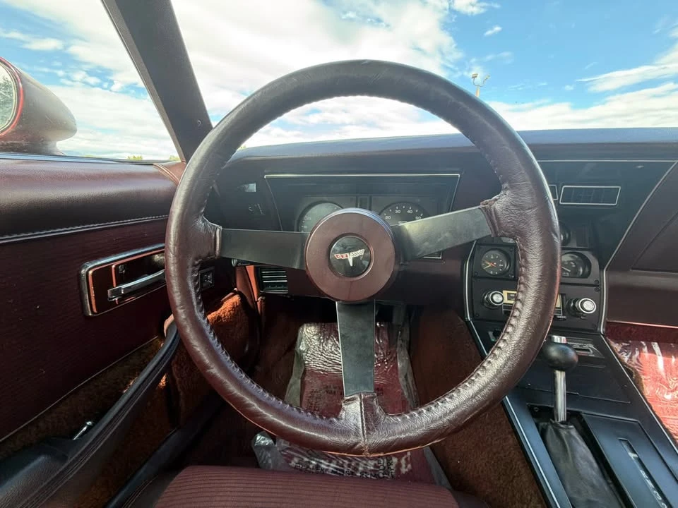 1980 Chevrolet Corvette C3 - Image 15 of 20
