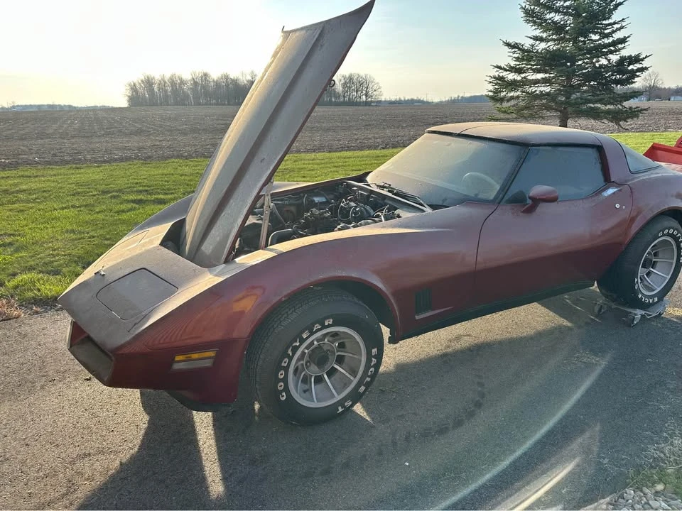 1980 Chevrolet Corvette C3 - Image 8 of 14