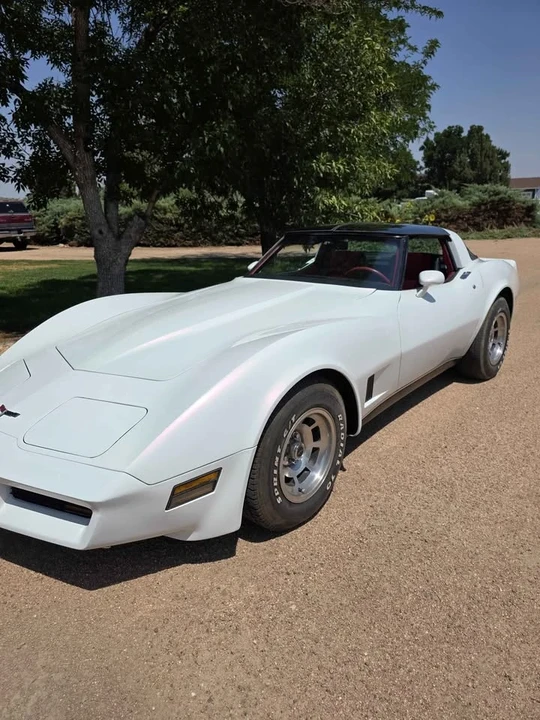 1980 Chevrolet Corvette C3 - Image 16 of 16