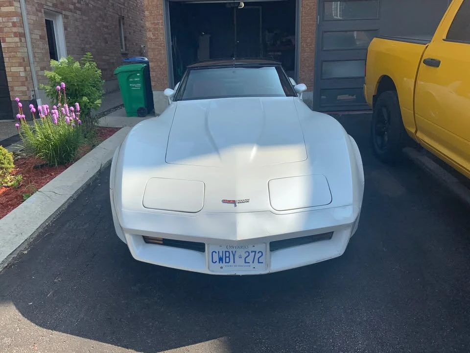 1980 Chevrolet Corvette C3 - Image 4 of 9