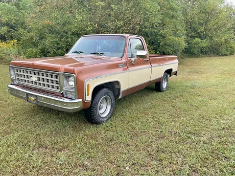 1980 Chevrolet C10 Custom Deluxe