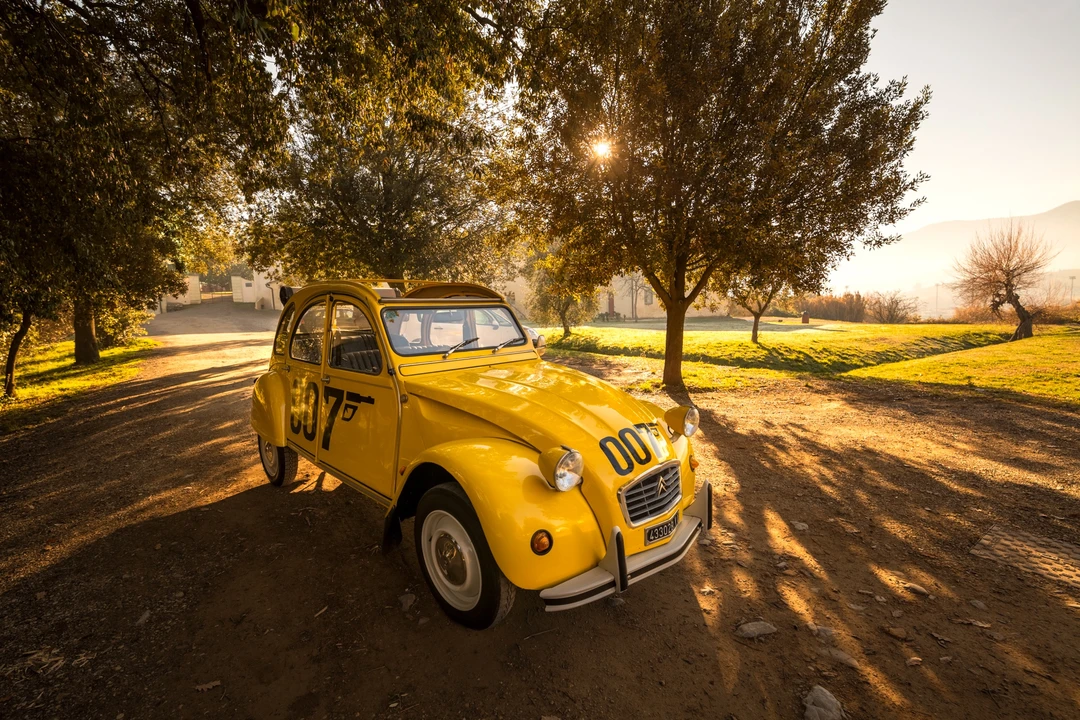 1980 Citroen 2CV - Image 12 of 31