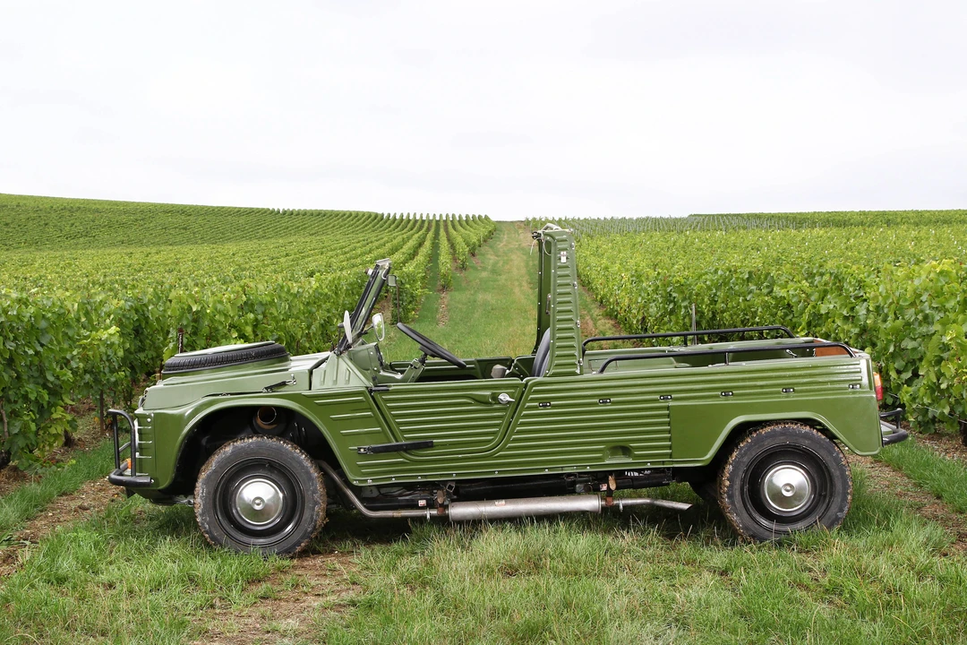 1980 Citroen Mehari - Image 4 of 25