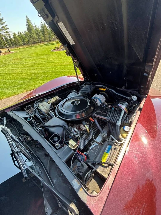1980 Chevrolet Corvette C3 - Image 11 of 12