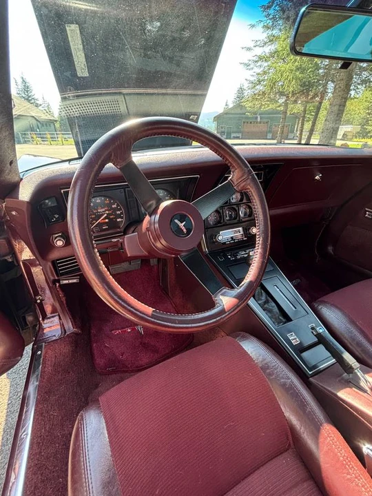 1980 Chevrolet Corvette C3 - Image 10 of 12