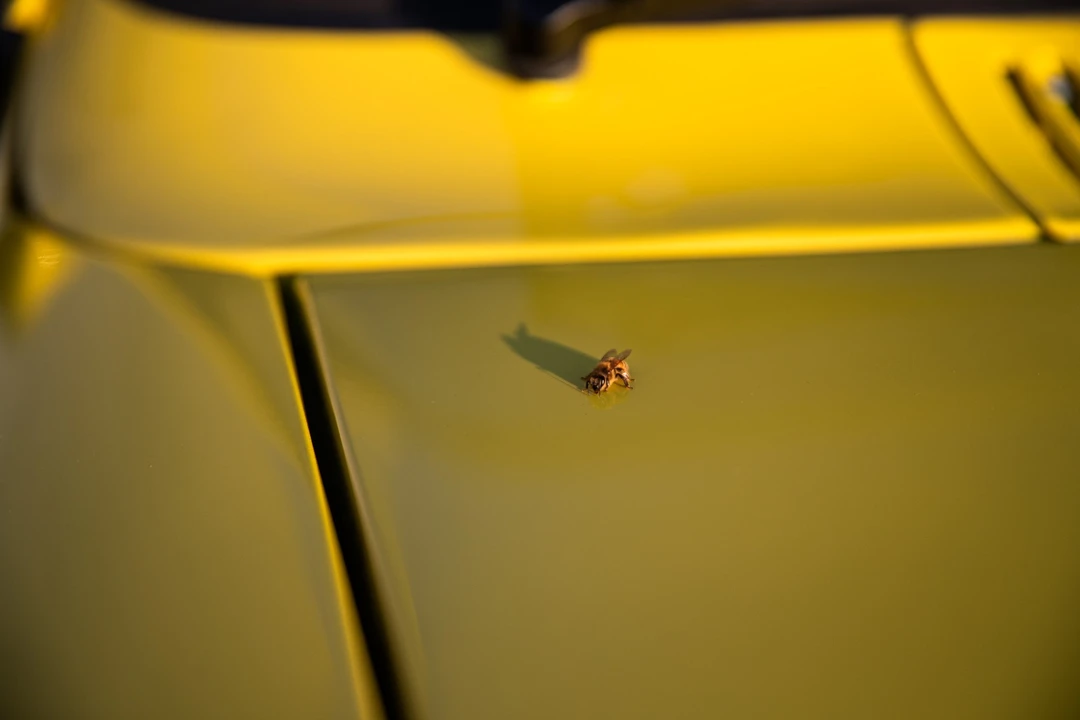 1980 Ford Escort - Image 17 of 31