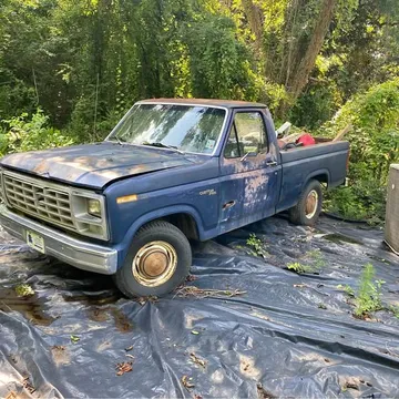 1980 Ford F-100
