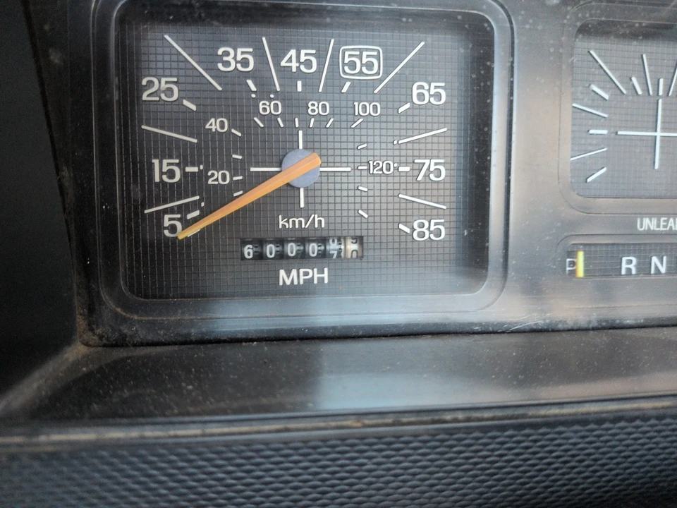 1980 Ford F-Series 7th Gen - Image 10 of 14