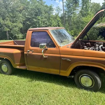 1980 Ford F100