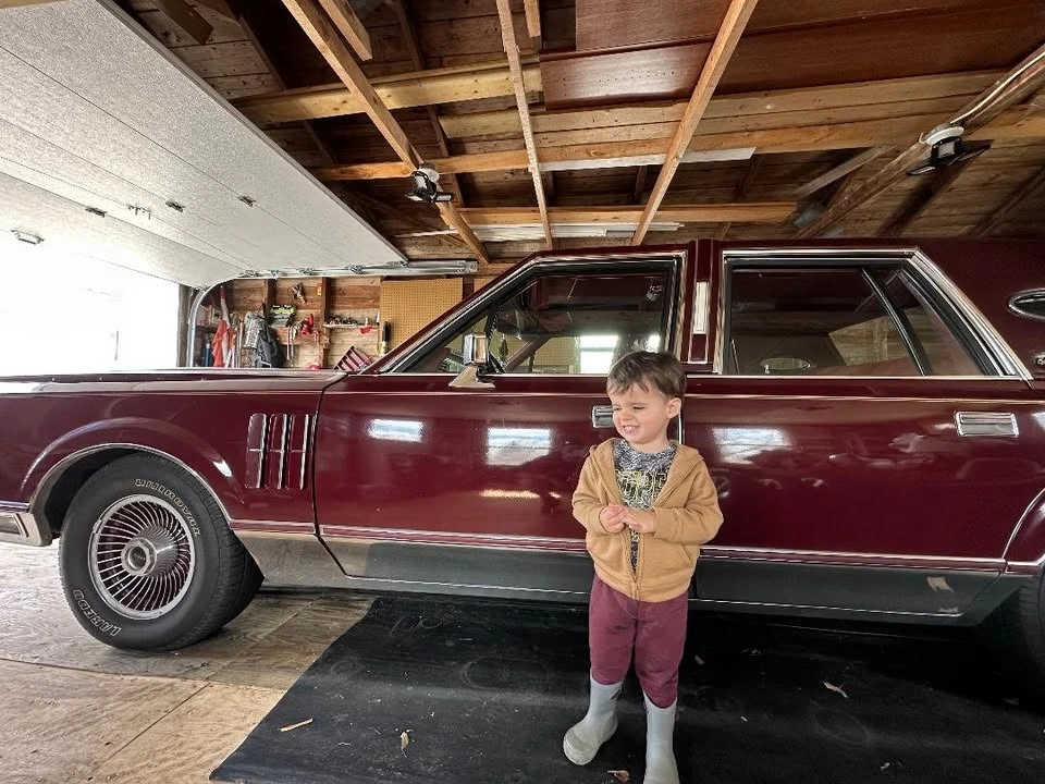 1980 Lincoln Continental Mark VI - Image 5 of 12