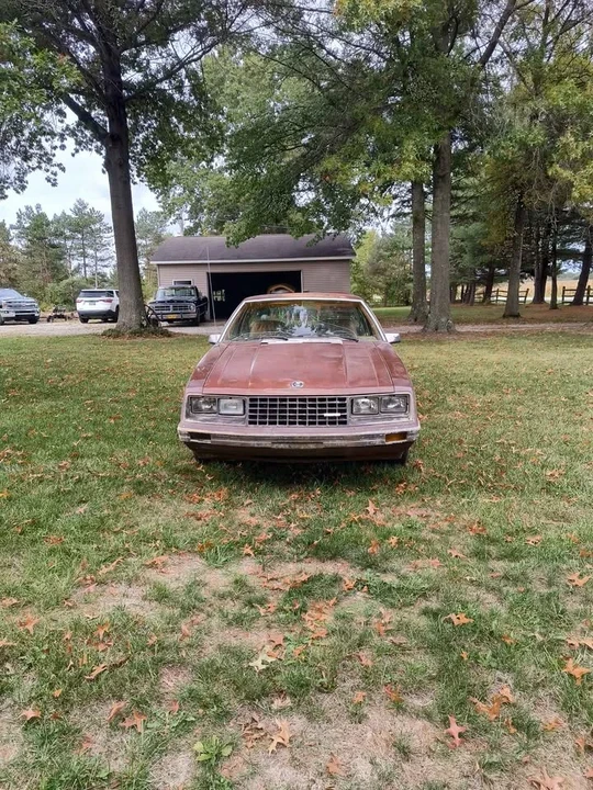 1980 Ford Mustang 3rd Gen - Image 3 of 7