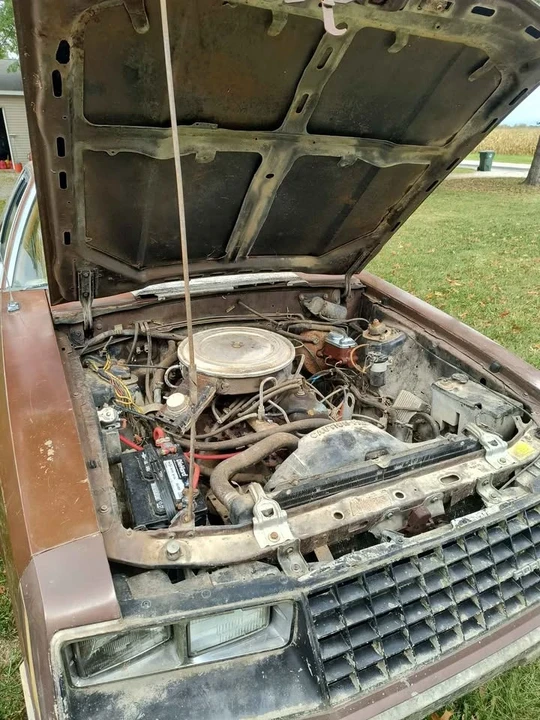 1980 Ford Mustang 3rd Gen - Image 6 of 7