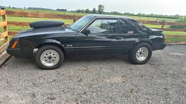 1980 Ford Mustang Coupe 2D