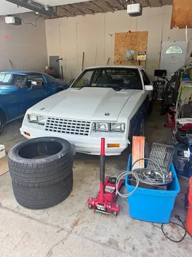 1980 Ford Mustang LX 5.0 Liter Coupe 2D