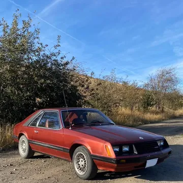 1980 Ford Mustang