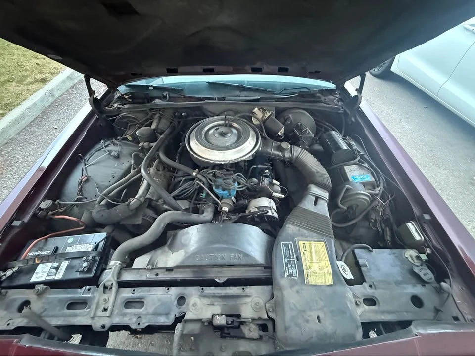 1980 Ford LTD - Image 4 of 10