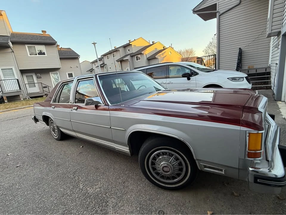 1980 Ford LTD - Image 10 of 10