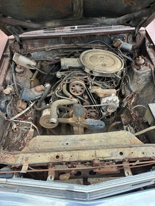 1980 Ford Fairlane - Image 11 of 14