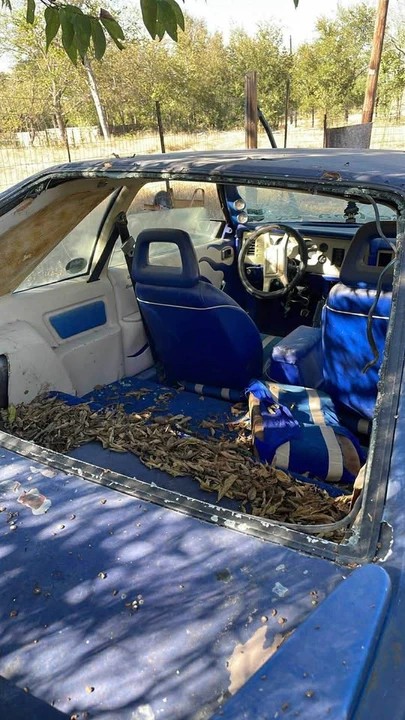 1980 Ford Mustang 3rd Gen - Image 5 of 5