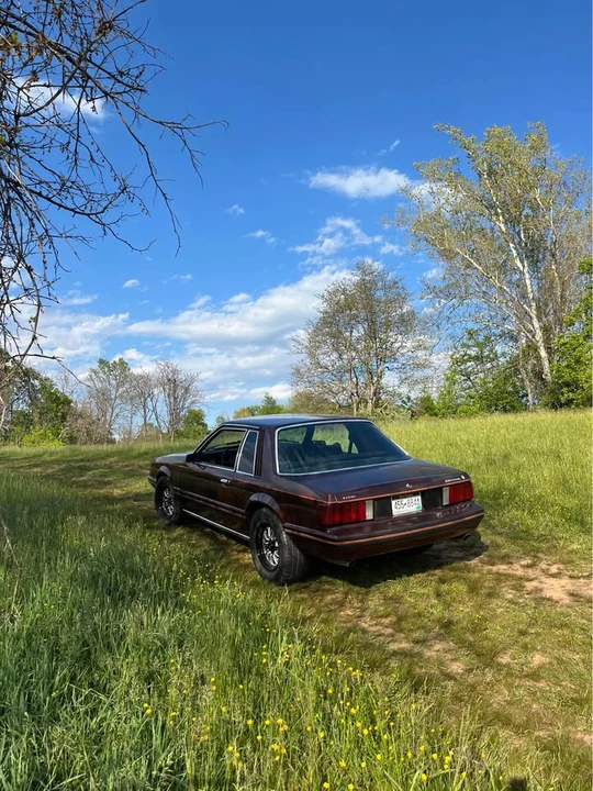 1980 Ford Mustang 3rd Gen - Image 4 of 12