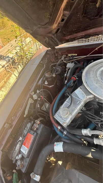 1980 Ford Thunderbird 6th Gen - Image 5 of 11
