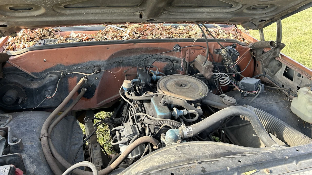 1980 GMC C/K 3rd Gen - Image 7 of 31
