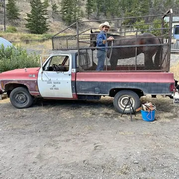 1980 GMC Jimmy