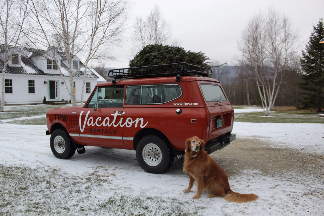 1980 International Harvester Scout - Image 4 of 31