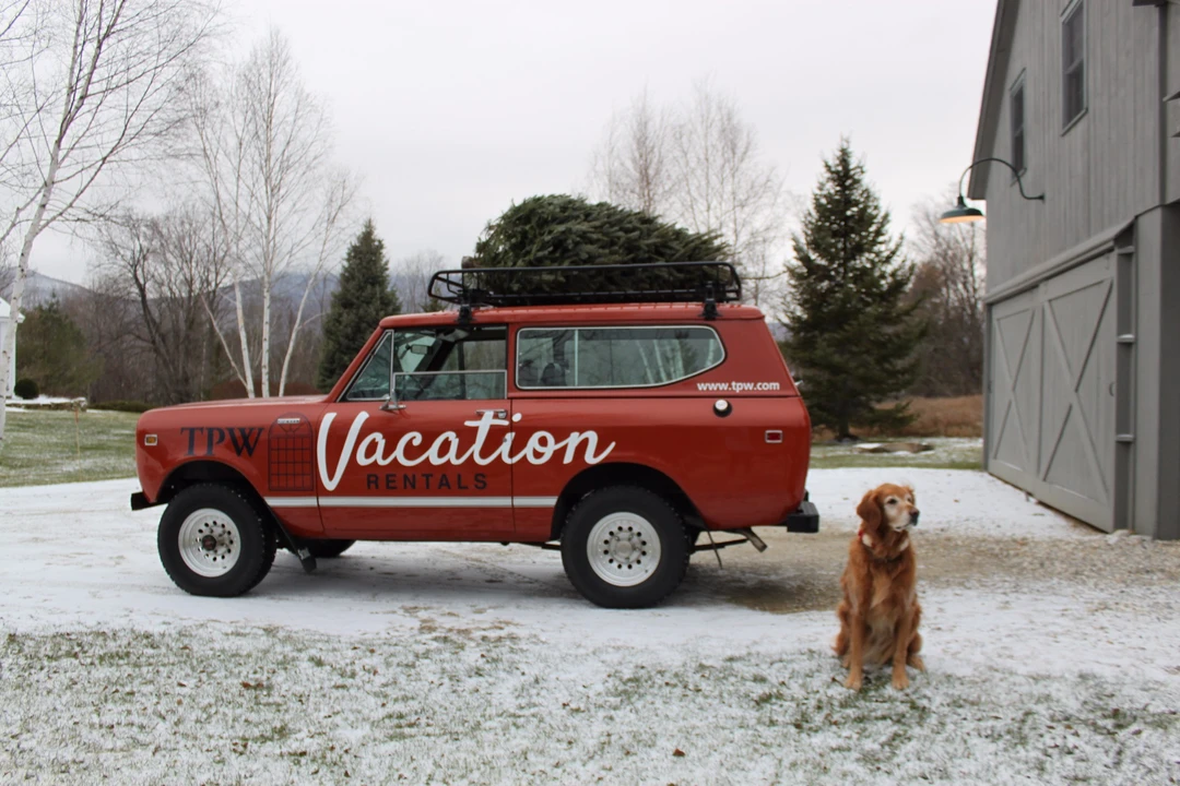 1980 International Harvester Scout - Image 3 of 31
