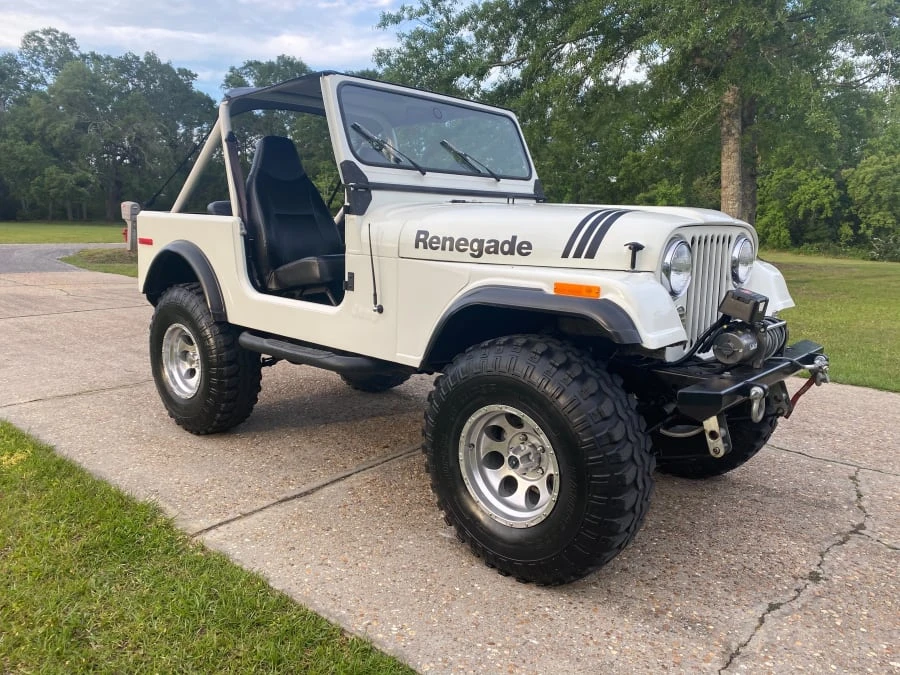 1980 Jeep Renegade - Image 16 of 16