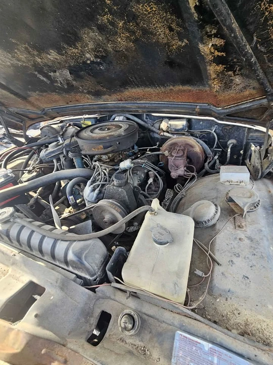 1980 Jeep SJ Wagoneer - Image 18 of 20