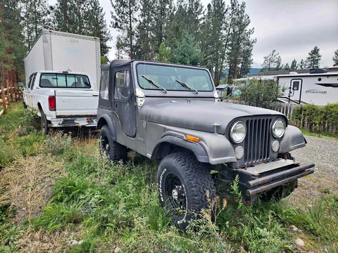 1980 Jeep CJ