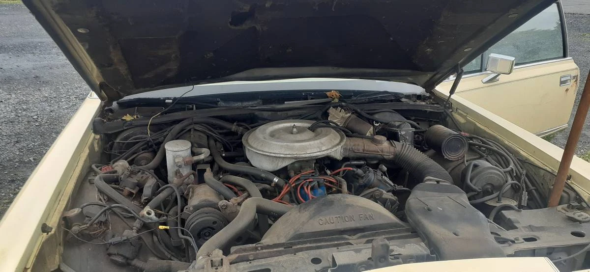 1980 Lincoln Continental 6th Gen - Image 6 of 6