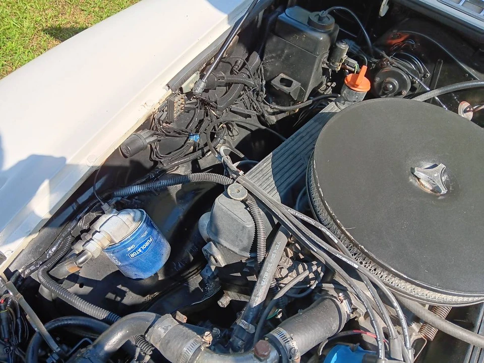 1980 MG MGB Roadster - Image 22 of 24