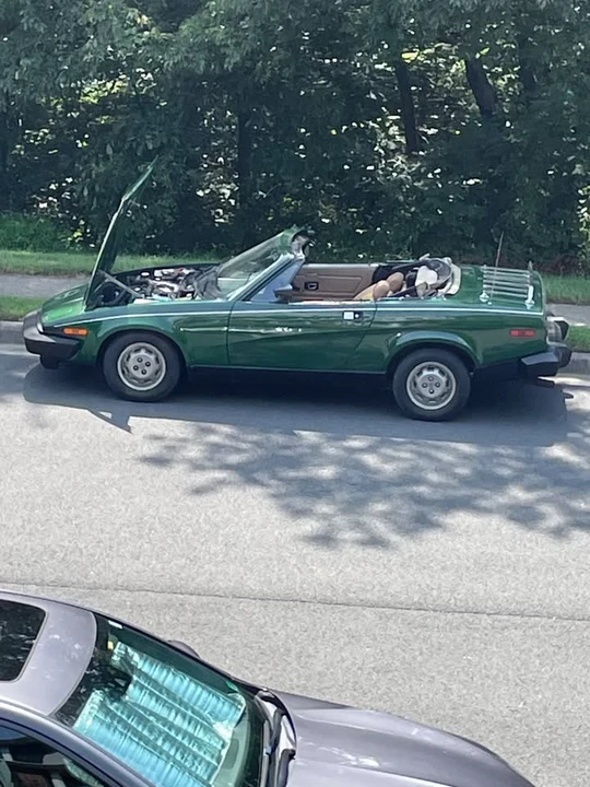 1980 Triumph TR7 - Image 9 of 18