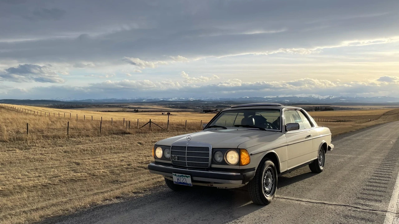 1980 Mercedes-Benz W123 Coupe (C123) - Image 5 of 31
