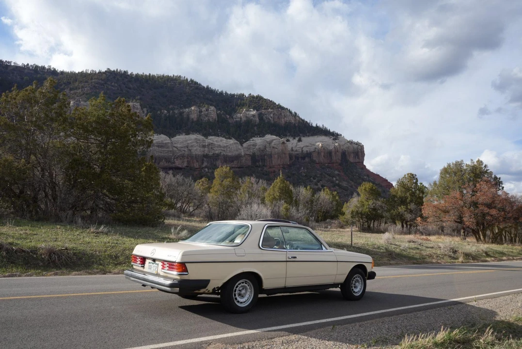 1980 Mercedes-Benz W123 Coupe (C123) - Image 22 of 31