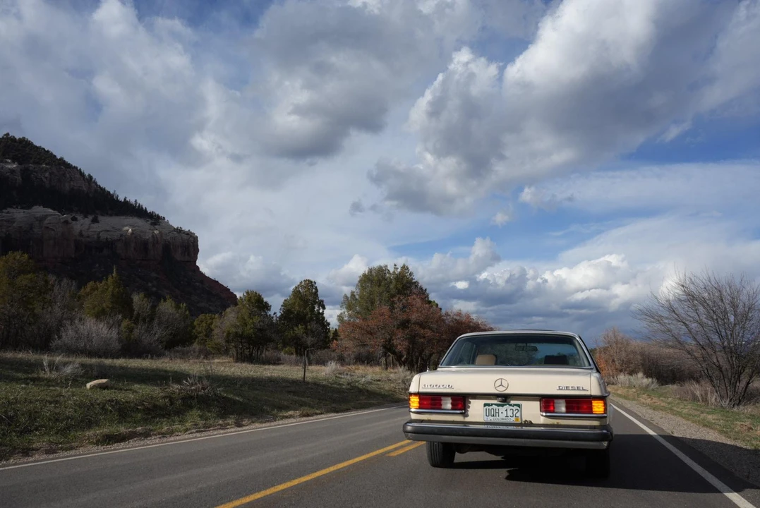 1980 Mercedes-Benz W123 Coupe (C123) - Image 19 of 31
