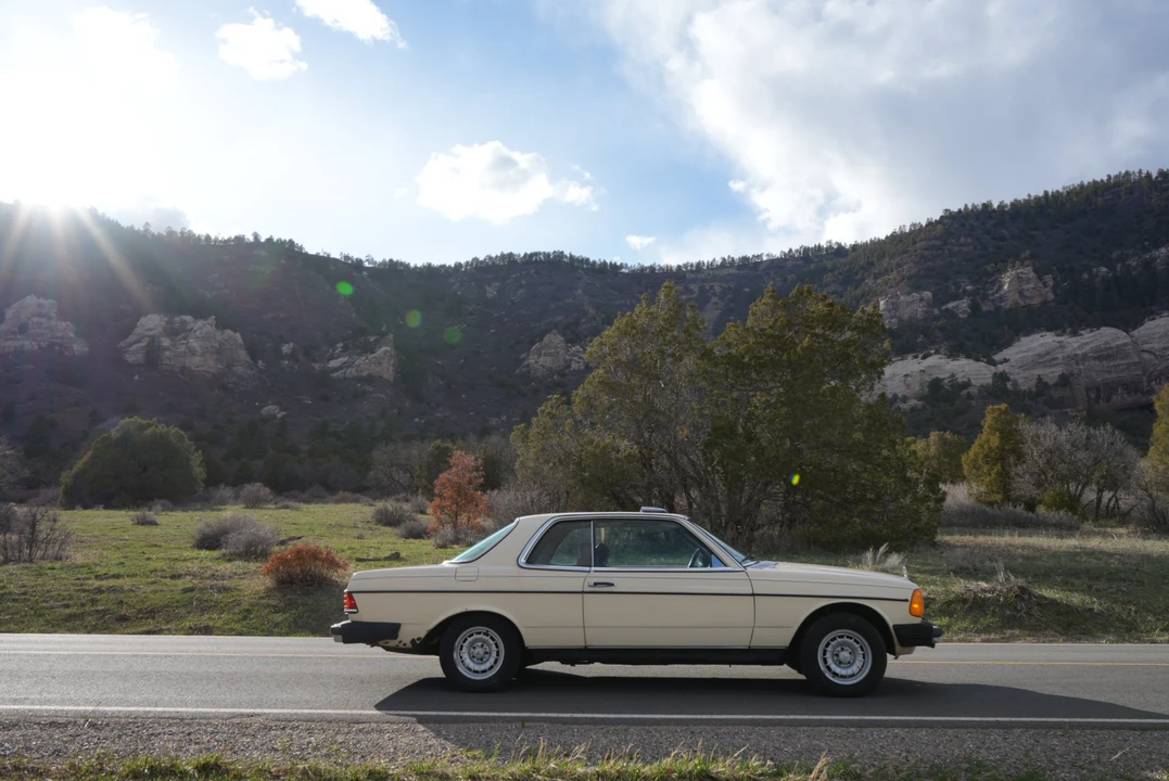 1980 Mercedes-Benz W123 Coupe (C123) - Image 28 of 31