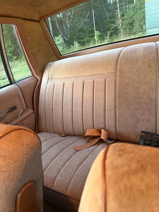 1980 Oldsmobile 88 - Image 3 of 10