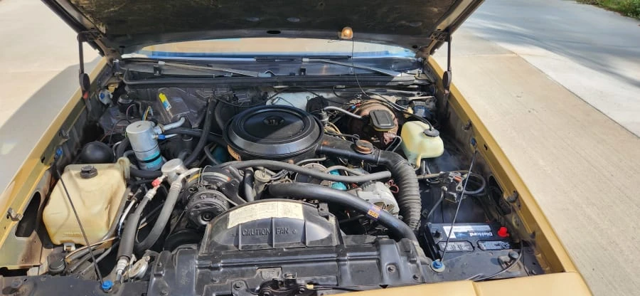 1980 Oldsmobile Cutlass 5th Gen - Image 17 of 17
