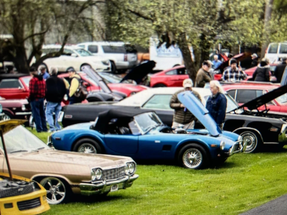 1980 Standard - Image 11 of 21
