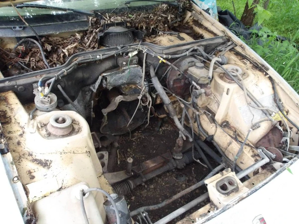 1980 Porsche 924 - Image 8 of 8