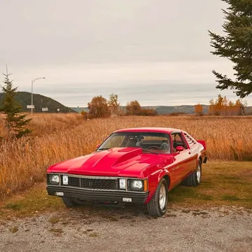 1980 Plymouth Volare Roadrunner