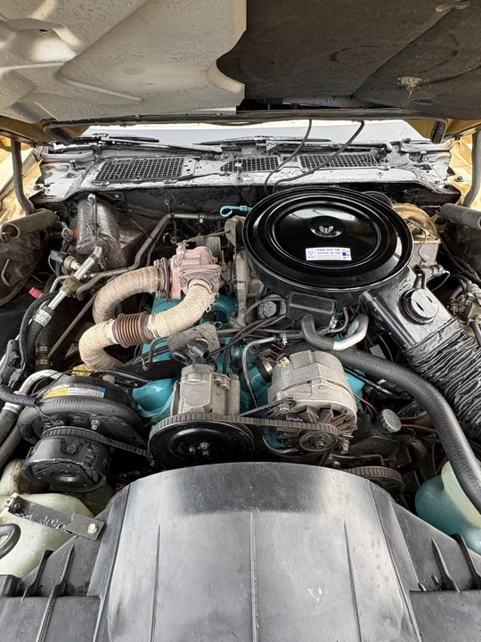 1980 Pontiac Firebird 2nd Gen - Image 16 of 21