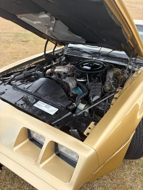 1980 Pontiac Firebird 2nd Gen - Image 3 of 21